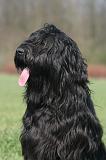 BRIARD 256